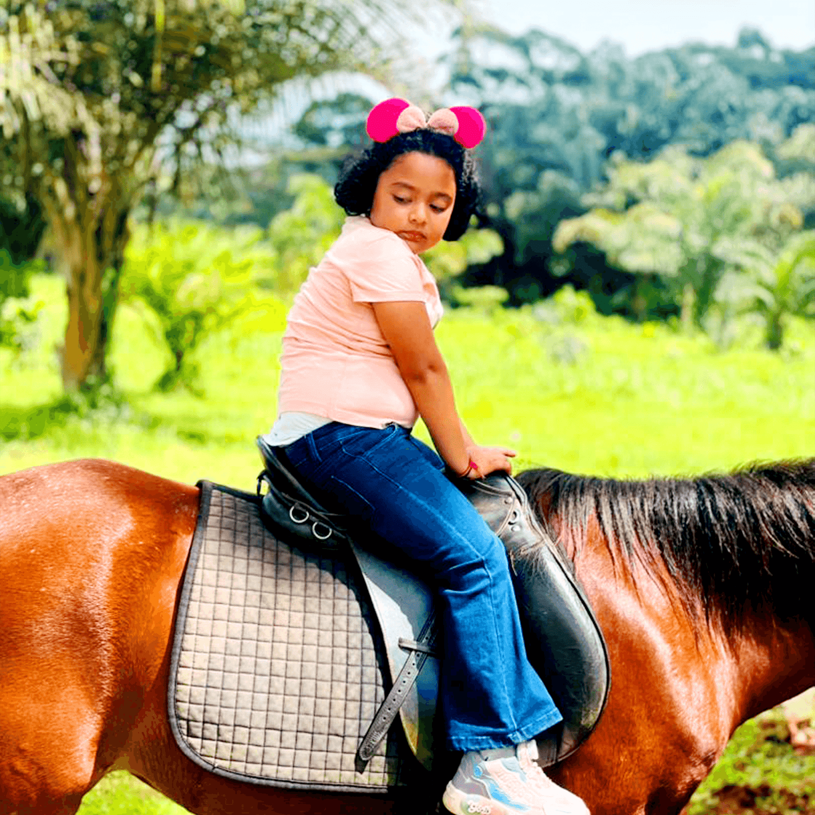 Horse Riding